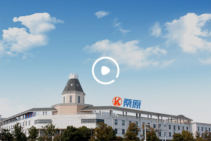 桑原集團 桑原集團